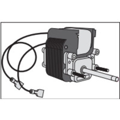 Motor