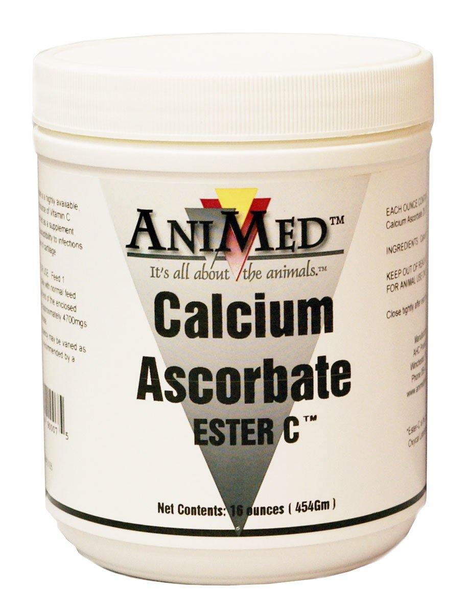Calcium Ascorbate Ester C Supplement For Horses - NORTH FIRST PLUS, LLC
