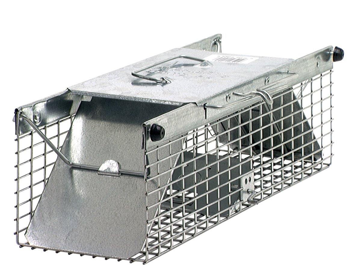 Havahart 2-door Small Animal Trap - NORTH FIRST PLUS, LLC