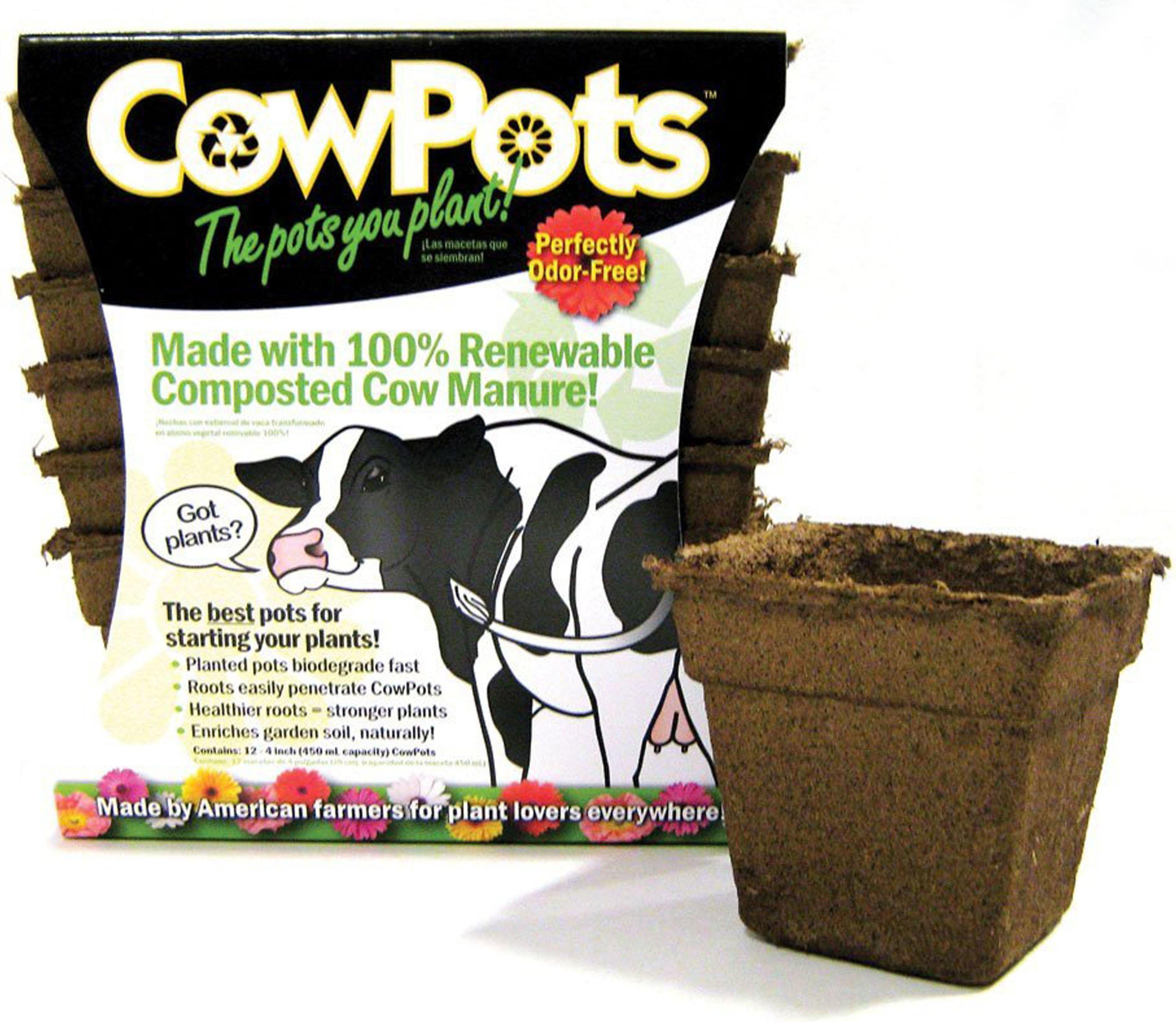 Cowpots 12pots/pack - NORTH FIRST PLUS, LLC