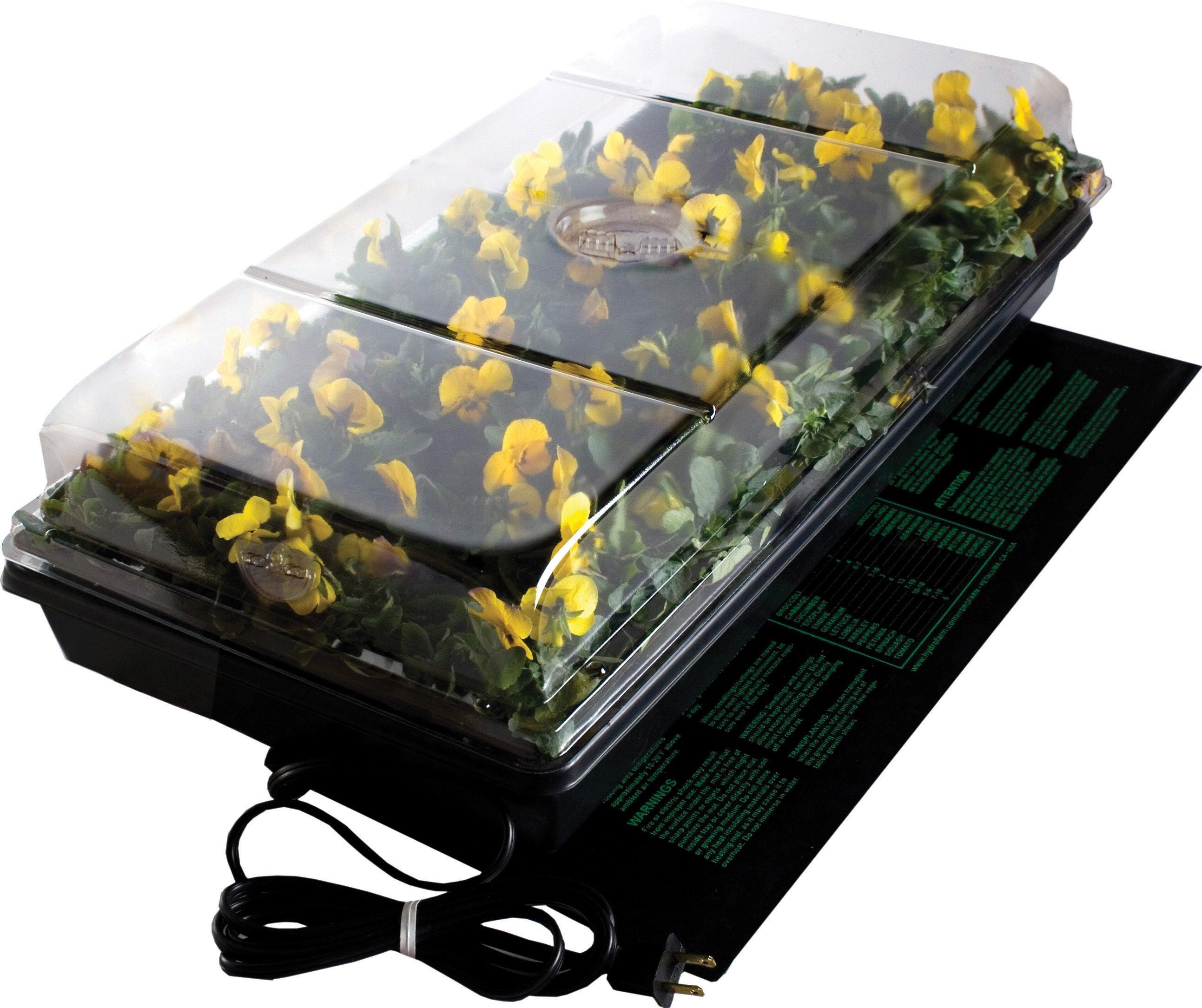 Germination Station With Heat Mat - NORTH FIRST PLUS, LLC