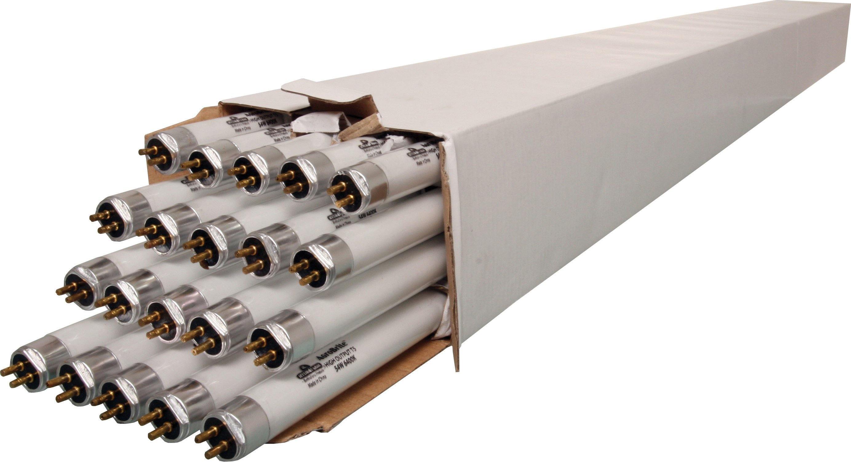 T5 4 Foot Replacement 6500k Bulbs - NORTH FIRST PLUS, LLC