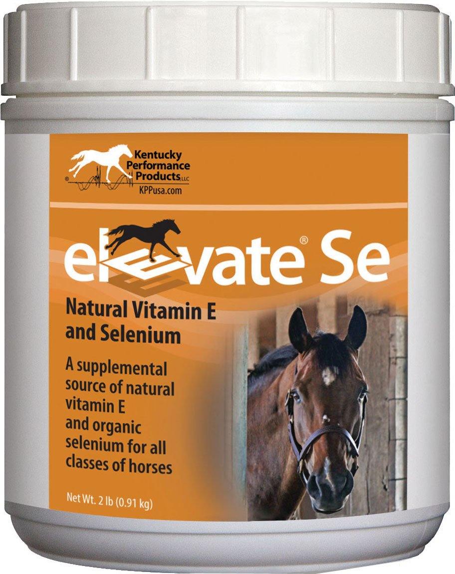 Elevate Se Vit E & Selenium Powder For Horses - NORTH FIRST PLUS, LLC
