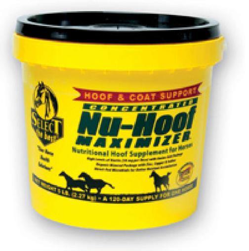 Nu-hoof Maximizer Hoof & Coat Support For Horses - NORTH FIRST PLUS, LLC