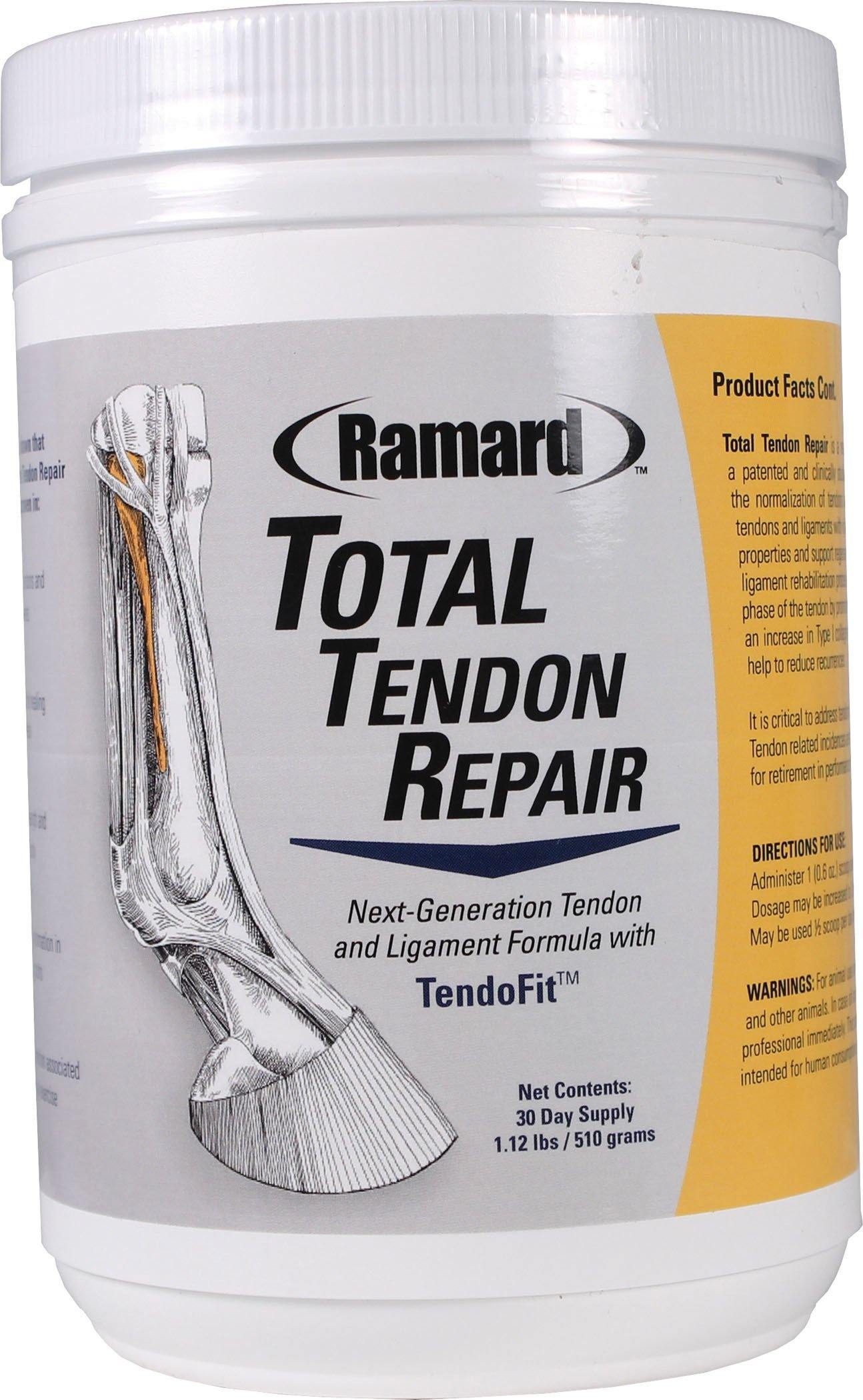 Total Tendon Repair - NORTH FIRST PLUS, LLC