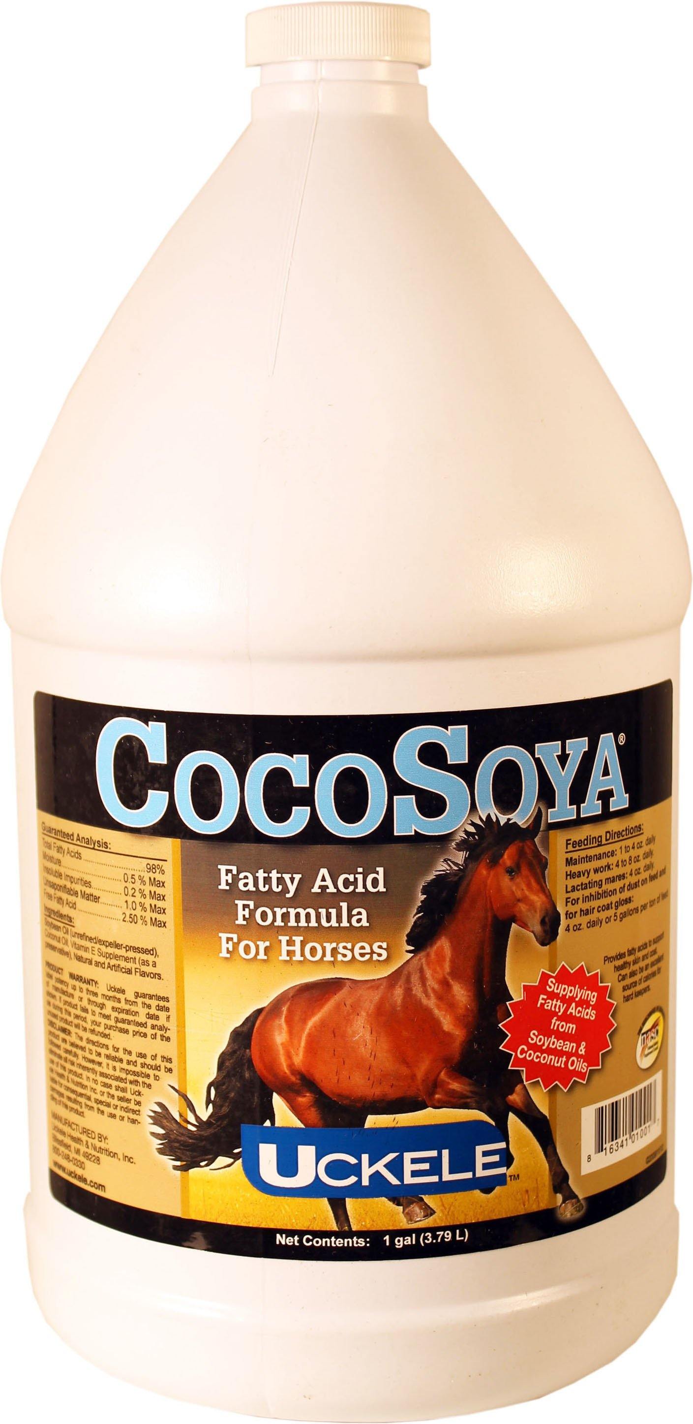 Cocosoya - NORTH FIRST PLUS, LLC