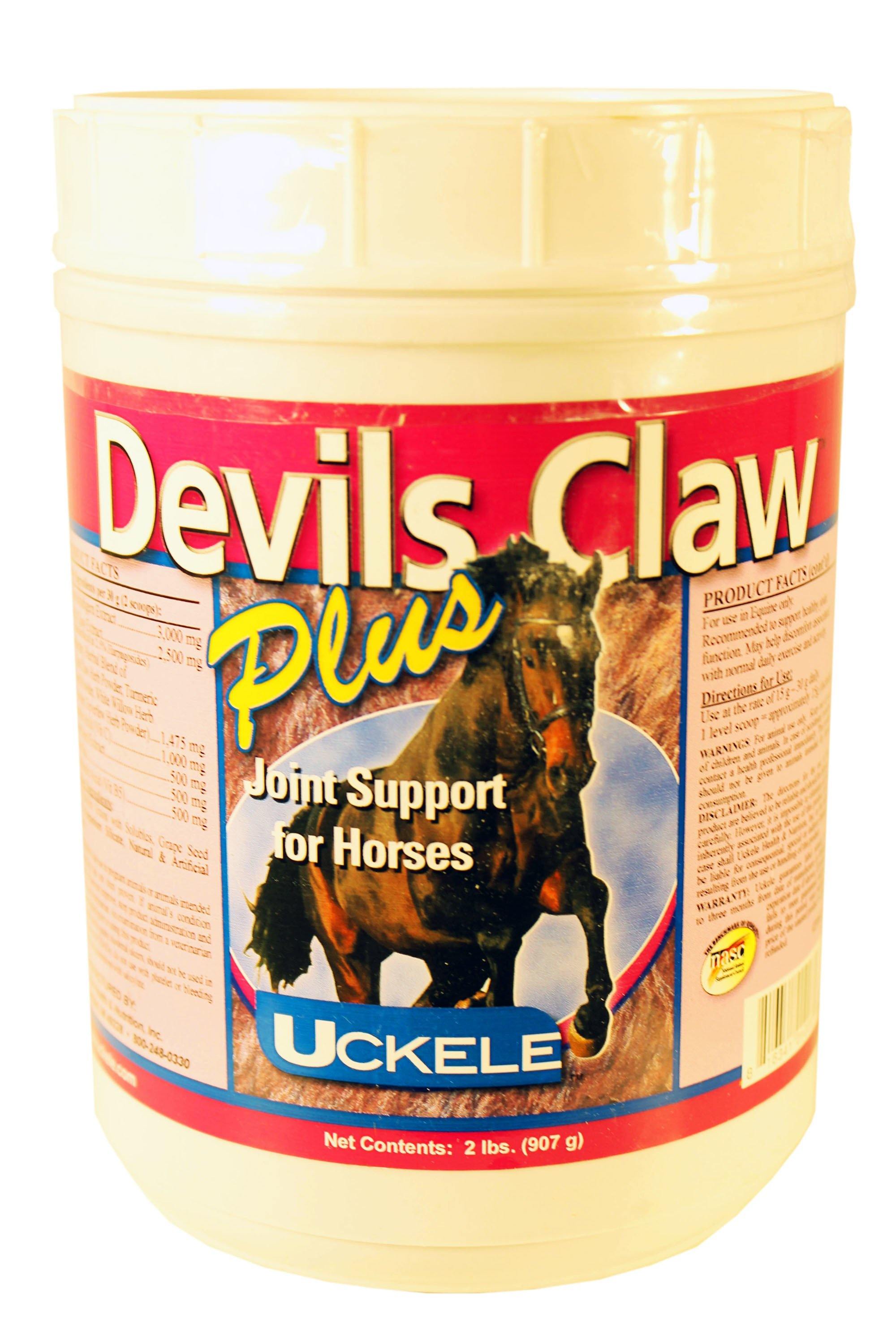 Devils Claw Plus Powder - NORTH FIRST PLUS, LLC