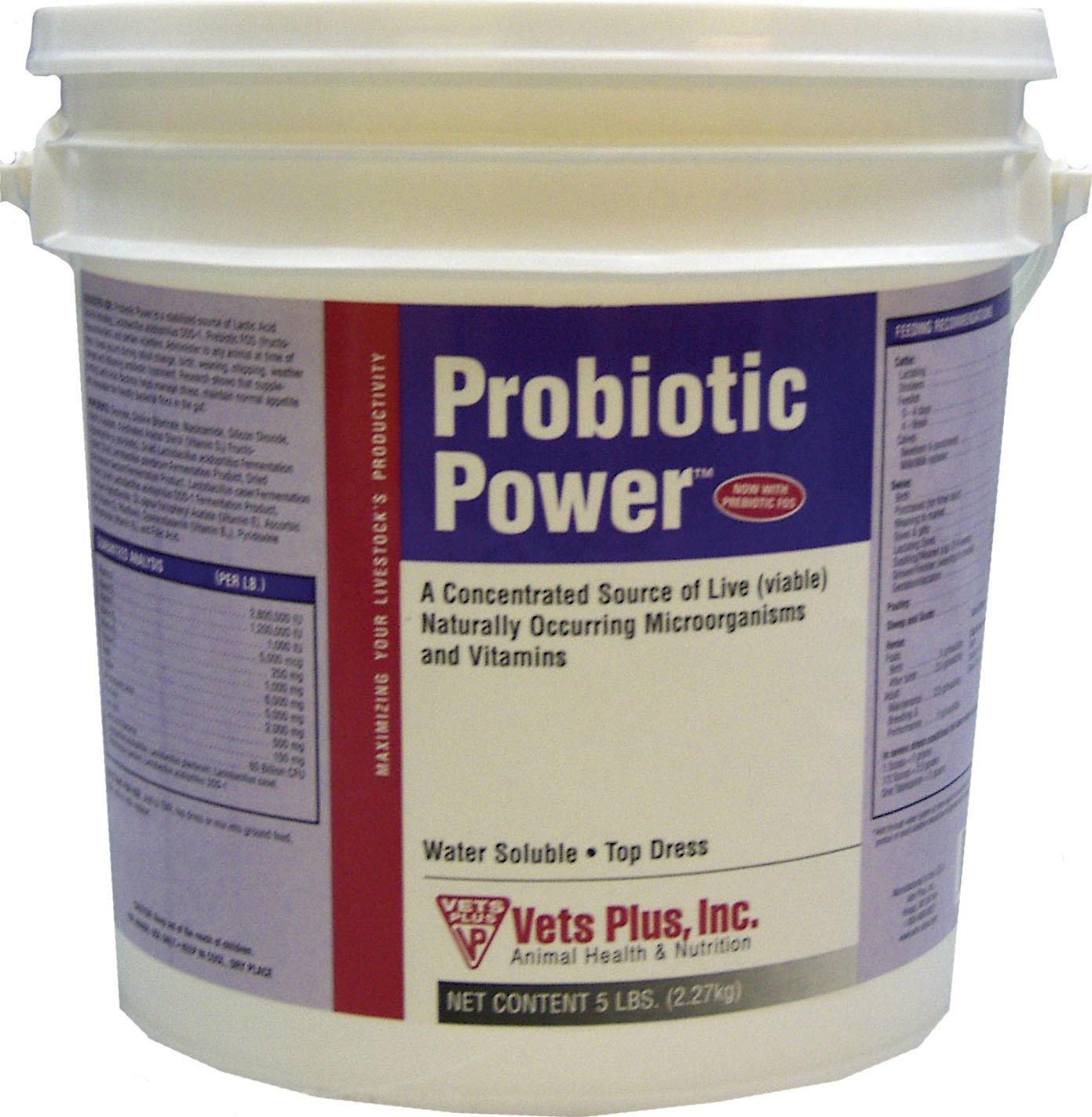 Probiotic Powder - NORTH FIRST PLUS, LLC