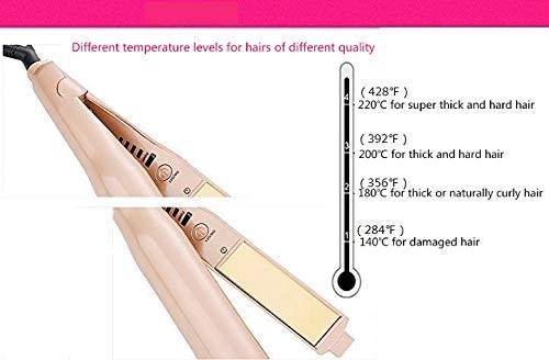 Professional Styling Tool,2 in 1 hair straightener and curler,Gold-plated Titanium Plates,Dry and Wet Dual-use,Different Degrees Levels for Different Quality Hairs,Easy to Carry (Gold) - NORTH FIRST PLUS, LLC
