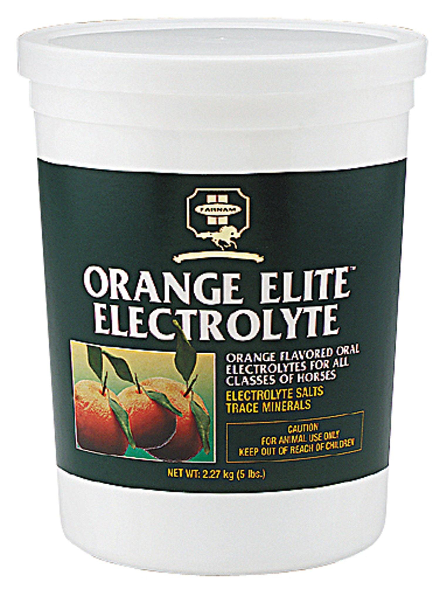 Orange Elite Electrolyte For Horses - NORTH FIRST PLUS, LLC