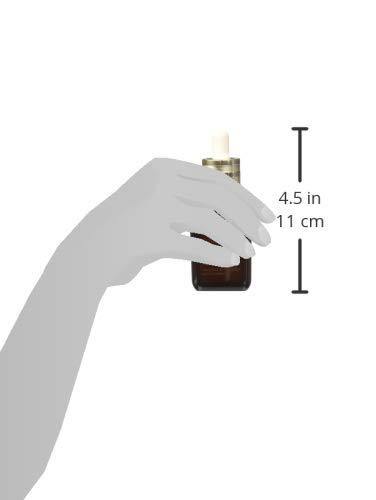 ESTEE LAUDER Advanced Night Repair Recovery Complex II , 1.7 Ounce - NORTH FIRST PLUS, LLC