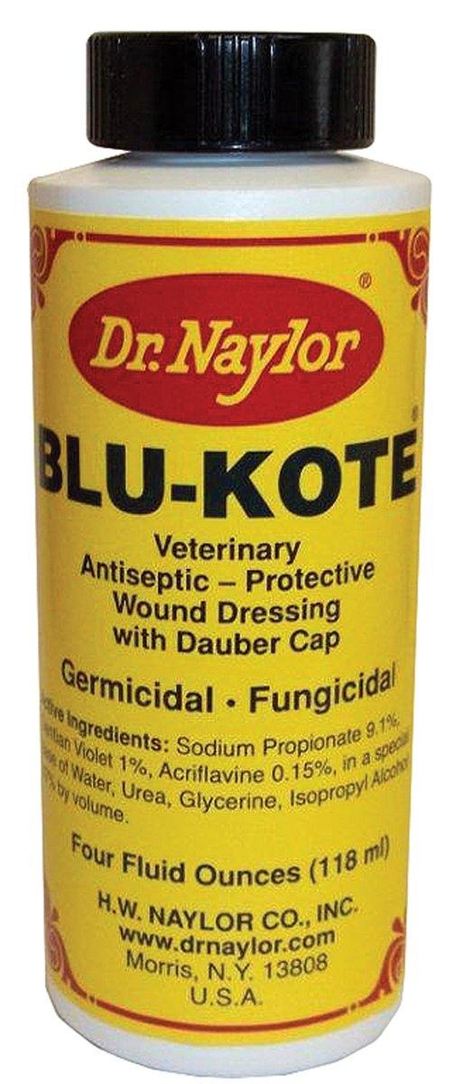 Blu Kote Antiseptic With Dauber Cap - NORTH FIRST PLUS, LLC