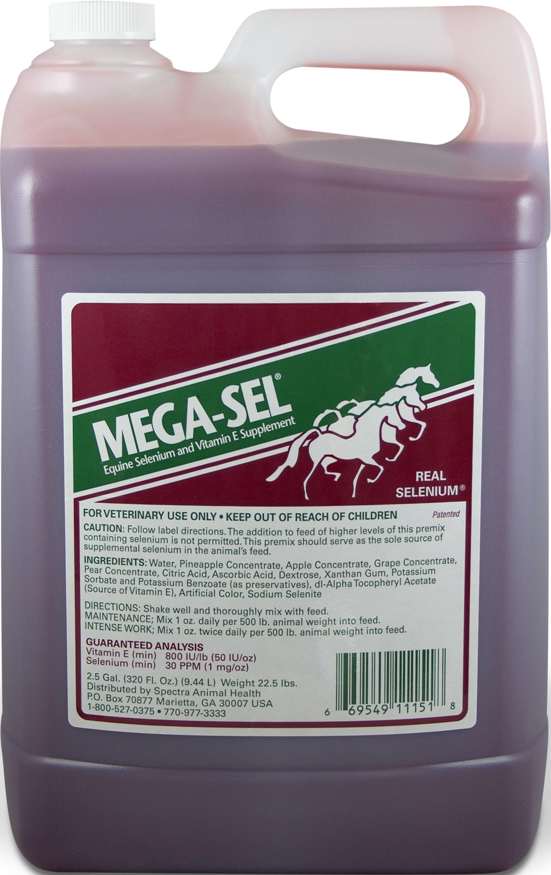 Mega-sel Liquid Formula For Horses - NORTH FIRST PLUS, LLC