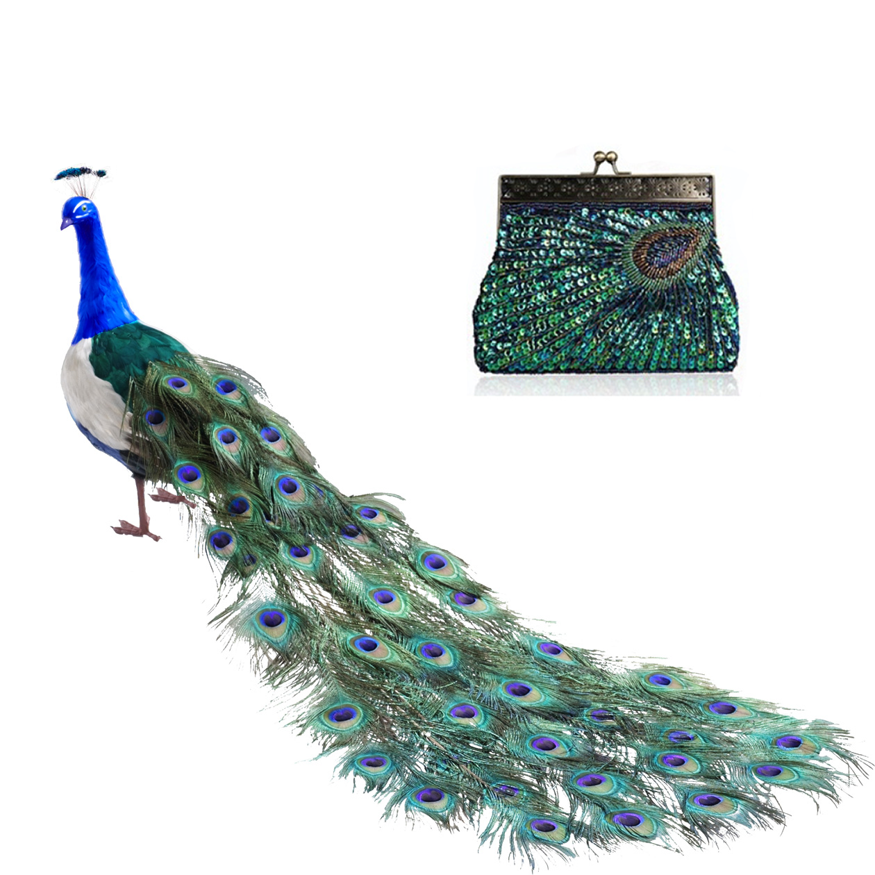 Peacock Crazy Clutch Eyecatching Ensemble In 8 Colors