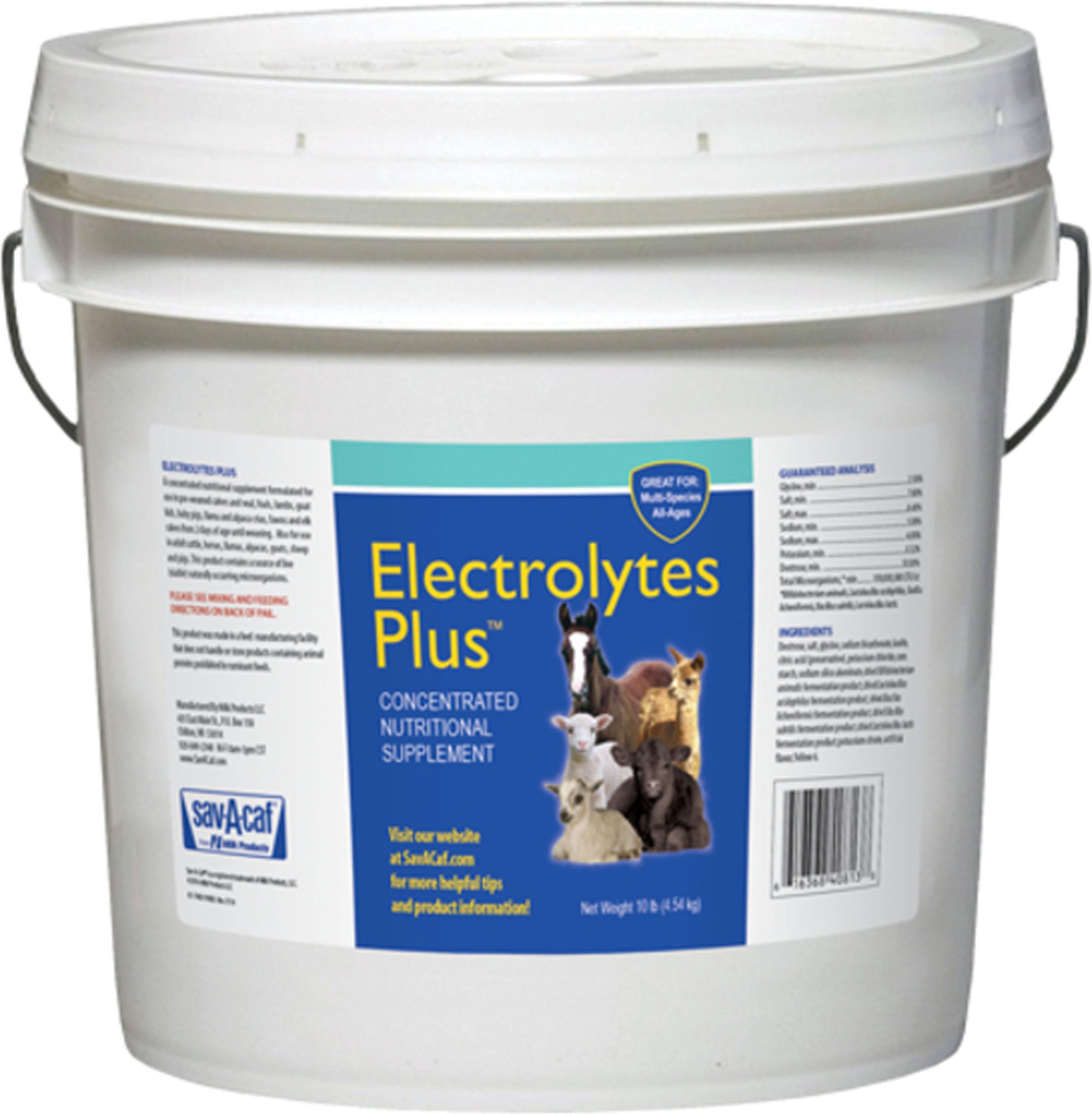 Electrolytes Plus Multi-species Supplement - NORTH FIRST PLUS, LLC