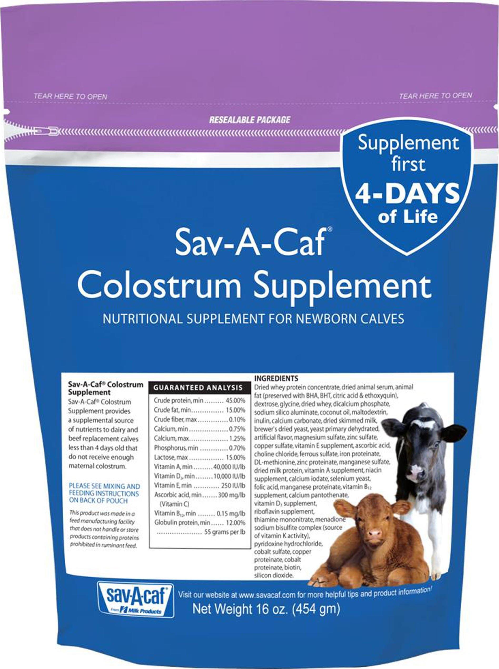 Sav-a-caf Colostrum Supplement For Newborn Calves - NORTH FIRST PLUS, LLC