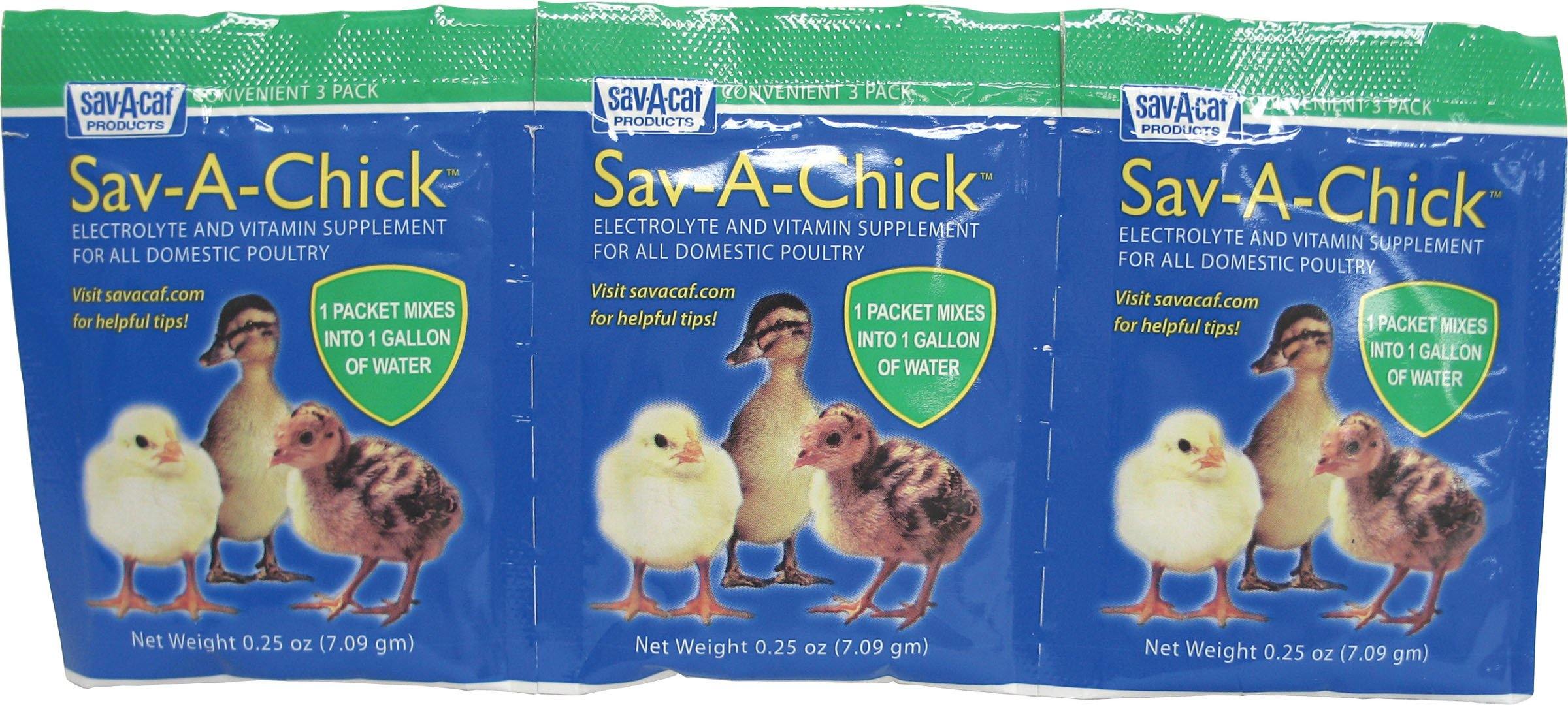Sav-a-chick Electrolyte & Vitamin Supplement - NORTH FIRST PLUS, LLC