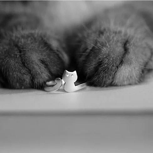 My Cute Kitten Fashion Ring In 925 Brushed Sterling Silver