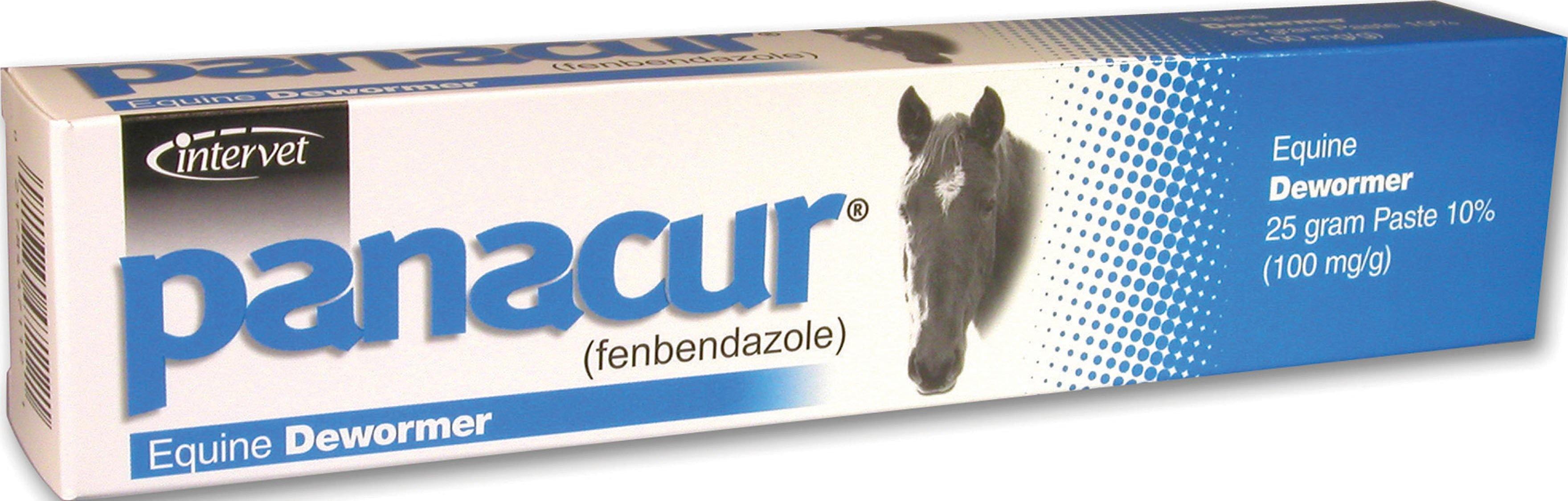 Panacur Paste Equine Dewormer - NORTH FIRST PLUS, LLC