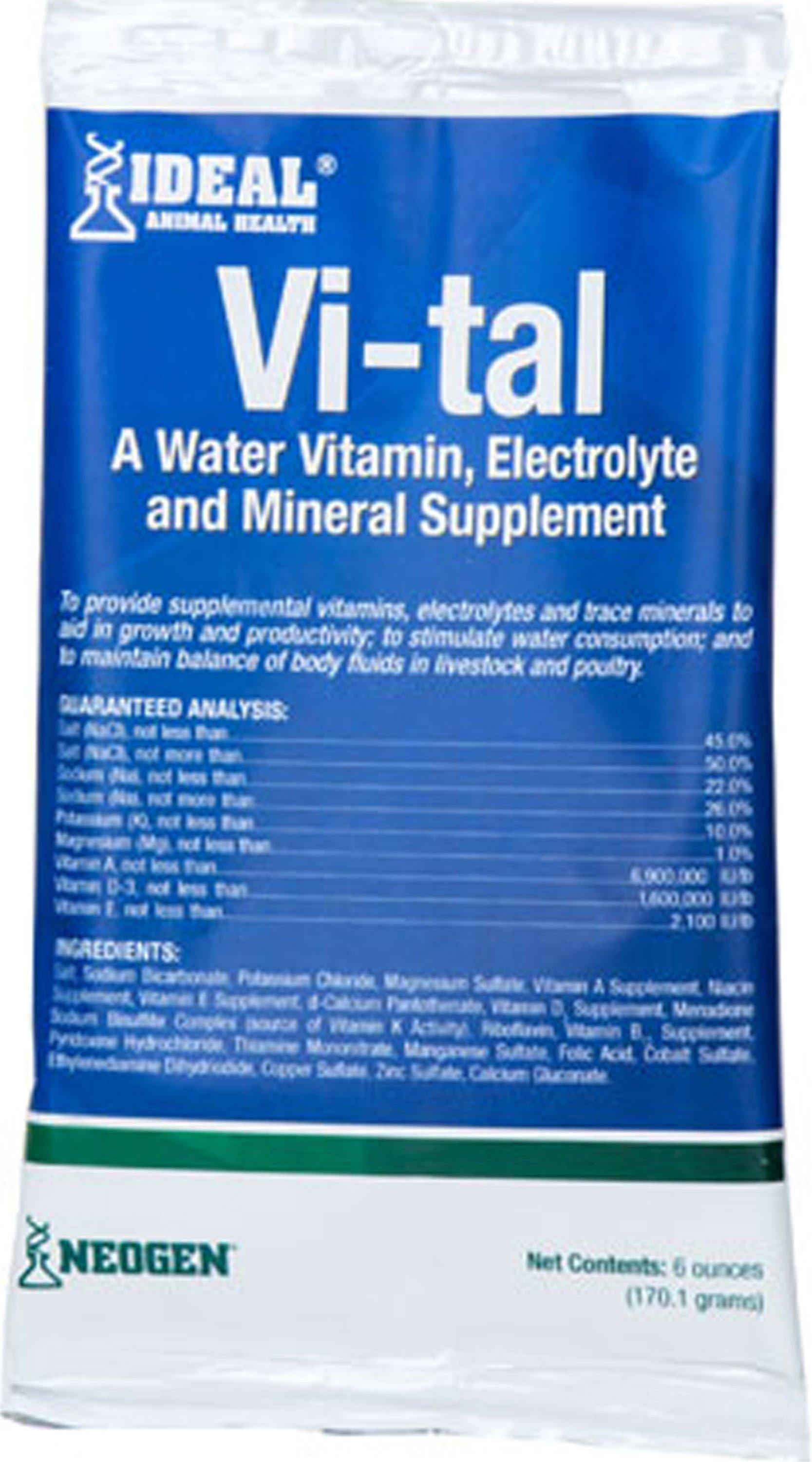 Vi-tal Electrolyte - NORTH FIRST PLUS, LLC