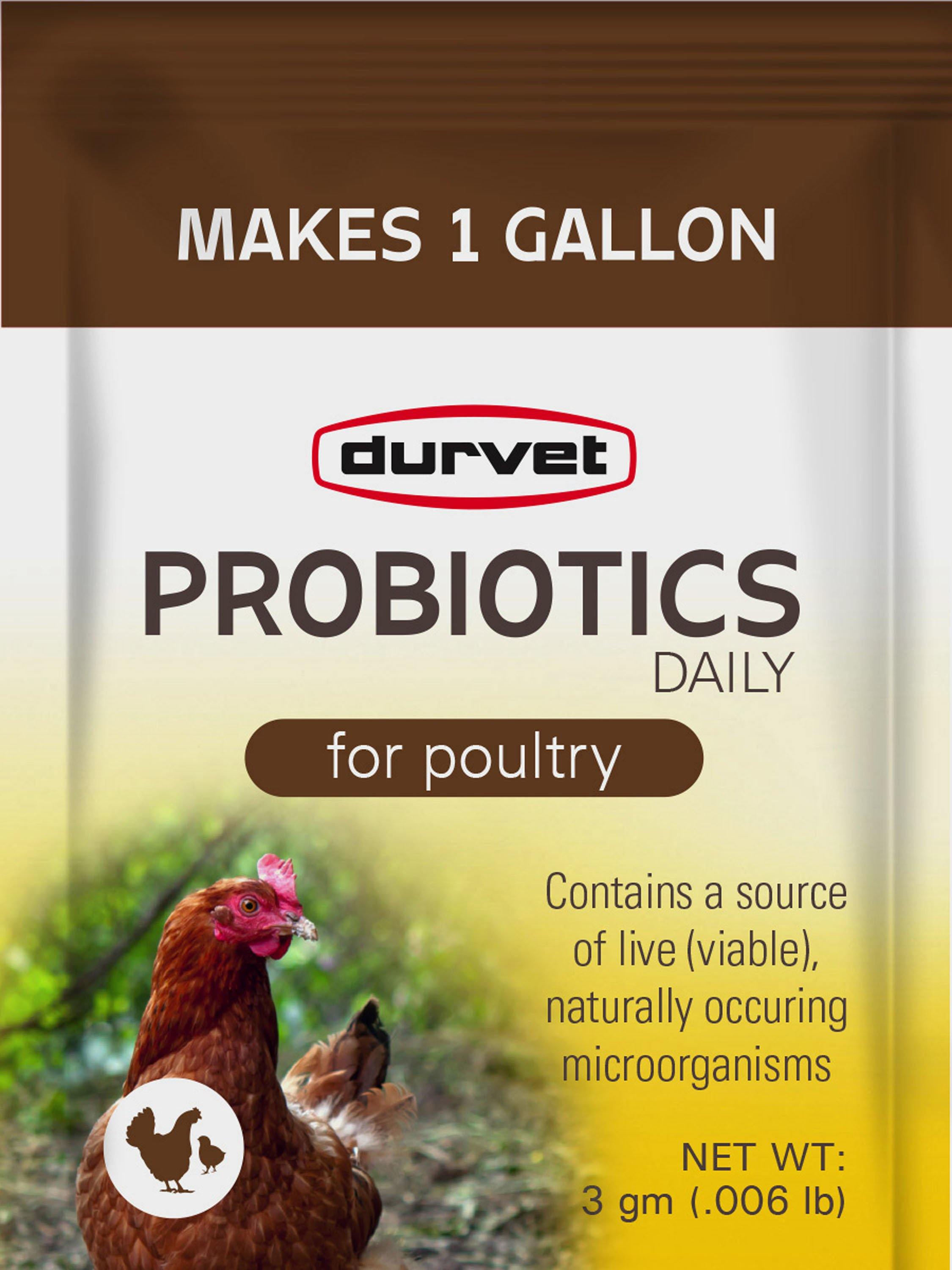 Probiotics Daily Single Packs - NORTH FIRST PLUS, LLC