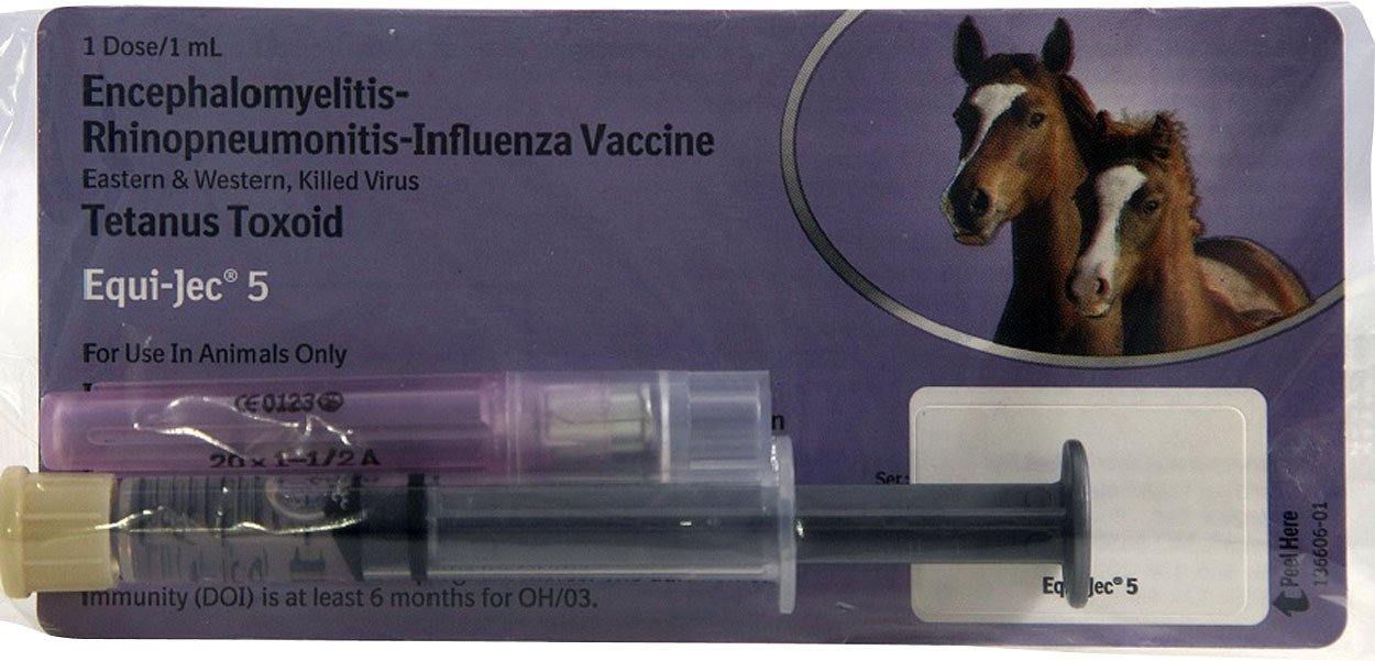 Equi-jec 5 - NORTH FIRST PLUS, LLC